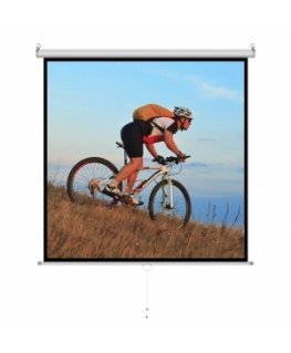 ART ER M70 1:1 projection screen