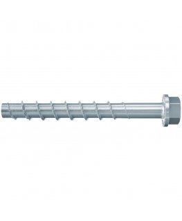 Fischer 536865 kruvi ja polt 160 mm 50 tk