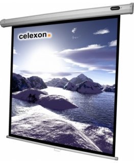 Celexon 1090252 projection screen 1:1