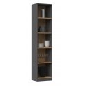 Topeshop R40 ANT/ART office bookcase