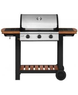 Mustang Gas Grill Greenville 3