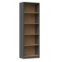 Topeshop R60 ANT/ART office bookcase