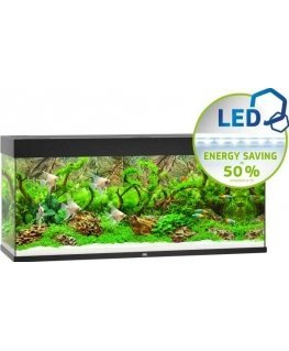 Juwel Rio 240 LED sort
