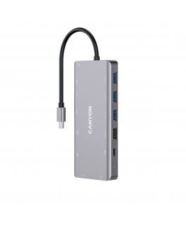 Canyon DS-12 USB 3.2 Gen 1 (3.1 Gen 1) Type-C Pelēks
