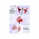 Olympia 1x100 DIN A5 80 micron laminator pouch 100 pc(s) Olympia 1x100 DIN A5 80 micron laminator pouch 100 pc(s)