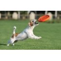Frisbee|disc Waudog 24 cm, orange Frisbee|disc Waudog 24 cm, orange