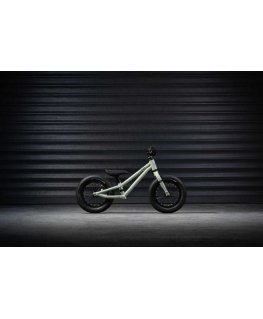 EARLY RIDER Charger 12" children's bike, green