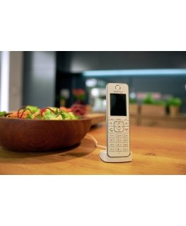 FRITZ!Fon C6 DECT telephone Caller ID White