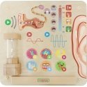 MASTERKIDZ educational auditory and sensory game