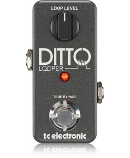TC Electronic Ditto Looper Must
