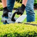 Rebel Cordless Hedge Trimmer