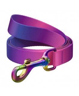 WAUDOG gradient nylon dog leash, length 122cm, purple