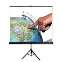 Avtek International TRIPOD Standard 150 projection screen 1:1