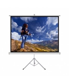 ART ER T120 4:3 ekrāns