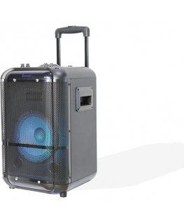 Denver TSP-306 Public Address (PA) speaker