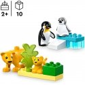 DUPLO Town 10442 – Luonnoneläinperheet: pingviinit ja leijonat