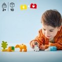 DUPLO Town 10442 – Luonnoneläinperheet: pingviinit ja leijonat