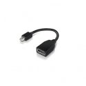 Lenovo 4X90L13971 DisplayPort-kaapeli Mini DisplayPort musta