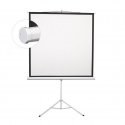 Sbox PSMT-135-2 Projector Screen 240x240cm