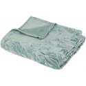 Atmosphera RYO leaf pattern blanket, 180 x 230 cm