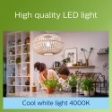 Philips Filament Bulb Clear 40 W A60 E27