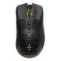 Deltaco GAM-120 mouse Gaming Right-hand RF Wireless + USB Type-A Optical 6400 DPI