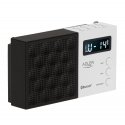 Adler | Digital Radio - PLL AM/FM | AD 1908 | Alarm function |