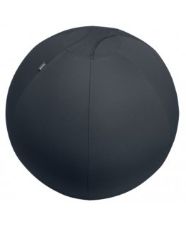 Leitz Active Sitzball 55cm Hall Hoonesisene Ümar