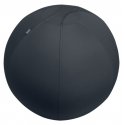 Leitz Active Sitzball 55cm Grey Indoor Spheric Leitz Active Sitzball 55cm Grey Indoor Spheric