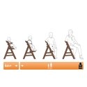 Hauck Alpha+ Traditional high chair Hard seat Walnut
