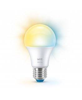 WiZ Lemputė 60W A60 E27