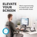 Fellowes 9169301 monitor mount / stand Fellowes 9169301 monitor mount / stand