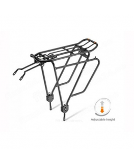 Slēpes Peltonen Acadia CL 21/22 STIFF (181)