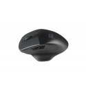 NATEC BlackBird 2 mouse Office Ambidextrous RF Wireless IR LED 1600 DPI