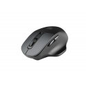 NATEC BlackBird 2 mouse Office Ambidextrous RF Wireless IR LED 1600 DPI