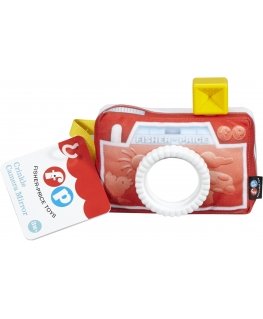 Fisher-Price Everything Baby DFR11 lavinamasis žaislas