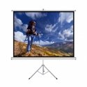 ART ER T72 4:3 projection screen