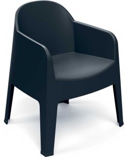 Milane Carbon FERNE garden chair with armrest