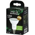 Airam Fiora kasvilampppu, E14, 4000 K, 420 lm