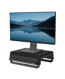 Fellowes 100016560 monitor mount / stand