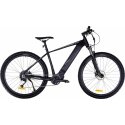 Insera e-NYX 29" 9-v electric bike, 18"
