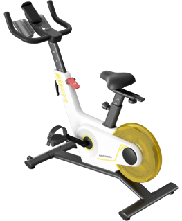 Kingsmith WalkingPad exercise bike PB08S - White