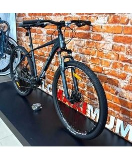 FORMULA 29" ZEPHYR 3.0 DD CS 19" Tumši pelēks 2025