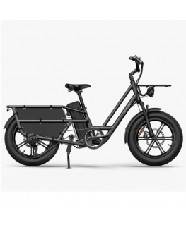 Elektriline kargoratas FIIDO T2 Longtail Cargo, Grey