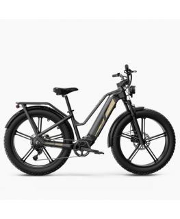 Elektrijalgratas FIIDO Titan, Grey