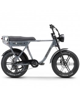 APE RYDER 20 A10 electric bicycle gray