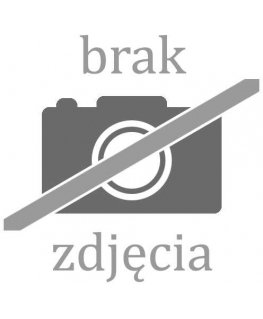 BLOW 4G PTZ 6MP H-396-AOV kahden objektiivin aurinkoenergialla toimiva kamera akulla