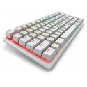 Alienware Pro Wireless Gaming Keyboard tastatūra Speļu USB + RF Wireless + Bluetooth Balts