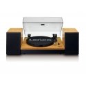 Lenco LS-300 Belt-drive audio turntable Black, Wood