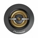 Pioneer TS-A301TW autokõlar Ümmargune 450 W